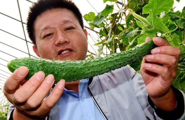 生鮮食材配送為什么大多不能與客戶建立長期合作？